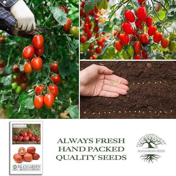 Roma Heirloom Tomato Seeds for Planting – 300+ Non-GMO Seeds, Botanical Name: Solanum lycopersicum, 90% Germination Rate, Classic Paste Tomato for Sauces & Canning, by Isla’s Garden Seeds, Gift Idea