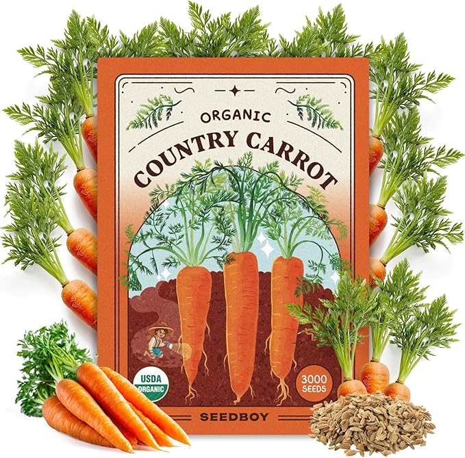Seedboy Organic Carrot Seeds for Planting Indoor and Outdoor, Non-GMO and USDA Certified Vegetable Seed Packet for Hydroponic Garden Indoor or Planting Outdoors (Scarlet Nantes Carrots)