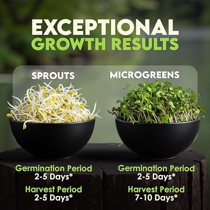 Nature Jims Sprouts Organic Salad Mix – Non-GMO Microgreen Seeds for Growing – Healthy Broccoli, Alfalfa, Radish & Clover Sprouting Variety Blend – Microgreens & Sprouts Seeds for Home Gardening – 1lb