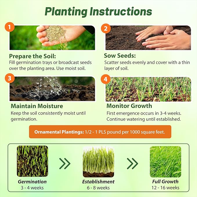 Outsidepride Perennial Andropogon Big Bluestem Grass Seed - 25 lbs. Warm Season, Drought Resistant, Native Prairie Grass Seed, Ideal for Erosion Control, Ornamental Landscaping & Wildlife Gardens