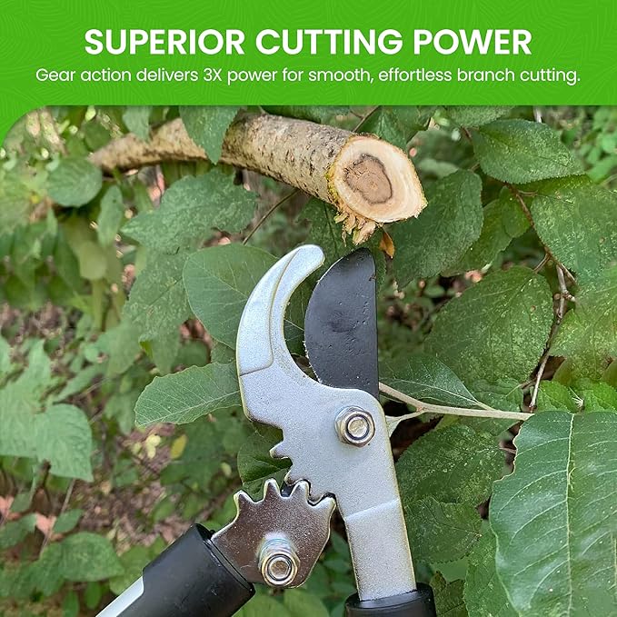GARDEN GURU Bypass Loppers Tree Trimmer Clipper 3X Cutting Power Gardening Loppers Pruning Shear, Comfort Grip Handles, High Carbon Steel Blade, Heavy Duty Branch Cutter, Cut Thick Branches w Ease (2)