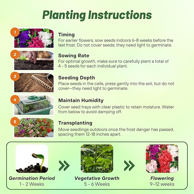 Outsidepride Balsam Impatiens Flower Seeds - 1000 Pcs Annual, Compact & Pollinator Friendly, Impatiens Seeds for Planting w/Vibrant, Abundant Blooms for Shade Gardens & Container Displays