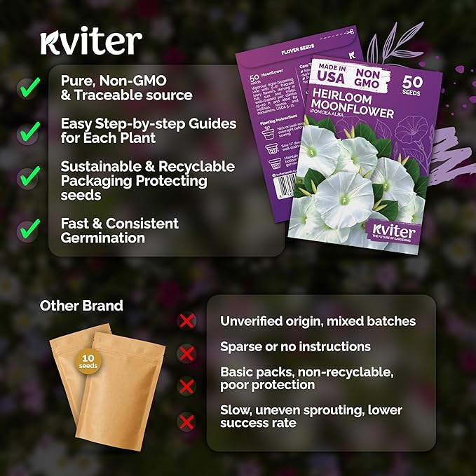 KVITER 50 Moonflower Seeds For Planting (Ipomoea alba) – White Morning Glory Seed Packets, Moon Flowers – Heirloom Vine White Flower Seeds Climbing Plants For Containers Indoor & Outdoor Flower Garden