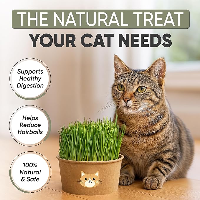 Cat Grass Kit for Indoor Cats – x3 Seed Packets | Cat Grass Seeds with Recyclable Planter & Coconut Coir Expanding Soil Discs – Wheatgrass Grass