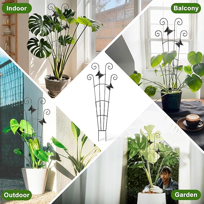 COOMIN 30'' Monstera Plant Support Outdoor, Metal Expandable Plant Supports for Indoor Plants, 2P Garden Trellis for Climbing Plants Indoor - Ivy, Pothos, Philodendron, Hoya