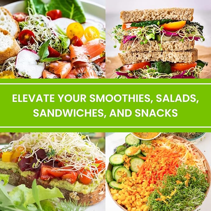 Premium USA Alfalfa Seeds for Sprouting & Microgreens with High Germination Rate. (8oz)