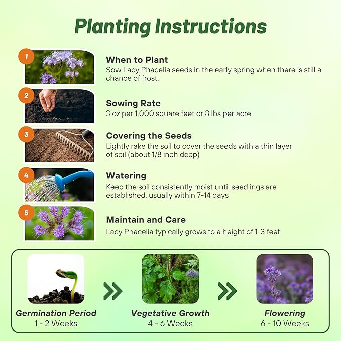 Outsidepride Lacy Phacelia Seeds for Planting - 1 Lb. Annual, Drought-Tolerant Wildflower Seeds with Light Violet Flowers, Ideal for Pollinator Gardens, Erosion Control, & Attracts Bees & Butterflies