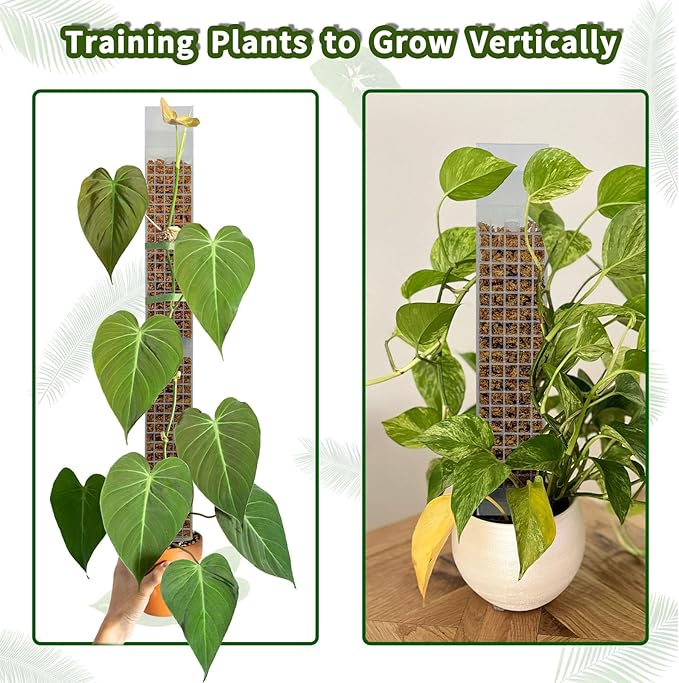 2PCS 18.7-Inch D-Shaped Self-Watering Moss Pole - Plastic Monstera Support for Indoor Climbing Plants. (2, White)