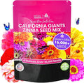 NatureZ Edge Zinnia Seeds for 2026 Planting Outdoors, Over 16,500 Flower Seeds, 1/4 lb, Non GMO Made in USA, Bulk Semillas De Flores para Sembrar, California Giants, Easy to Grow Zinnia Seed Mix