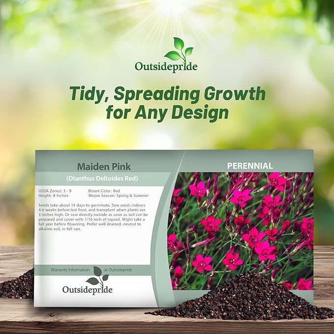 Outsidepride Deltoides Maiden Pink Dianthus Seeds for Planting - 10000 Pcs Easy to Grow Hardy Perennial Flower Seeds with Colorful & Fragrant Blooms for Mixed Planting, Containers & Pollinator Gardens