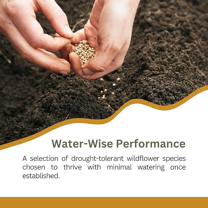 Drought Tolerant Wildflower Mix – 20,000+ Seeds – 1 oz Bulk Extra Large Resealable Packet – Non-GMO Flower Seeds for Dry Climates – Black-Eyed Susan, Coreopsis, California Poppy & More