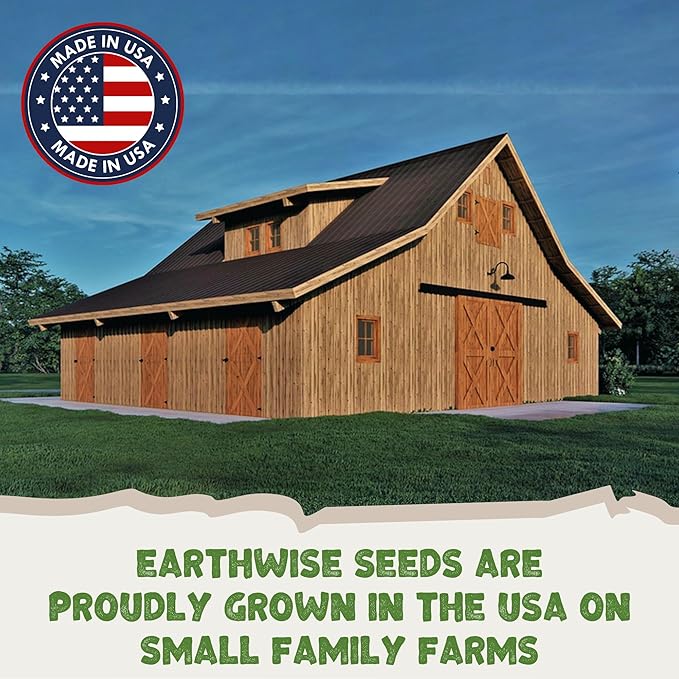 Earthwise Meadowscaping Alternative Lawn Seed Mix – 1/2 lb Native Blend for Low-Maintenance Lawns – Covers 500 sq ft