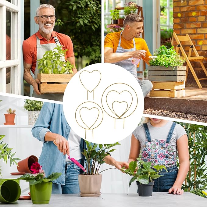 Hoya Trellis 3 Size Indoor Plants Flower Support Stakes Round or Heart Metal Trellis Set Garden Tool Accessories for Small Potted Vine Climbing Houseplants (GoldenCH)