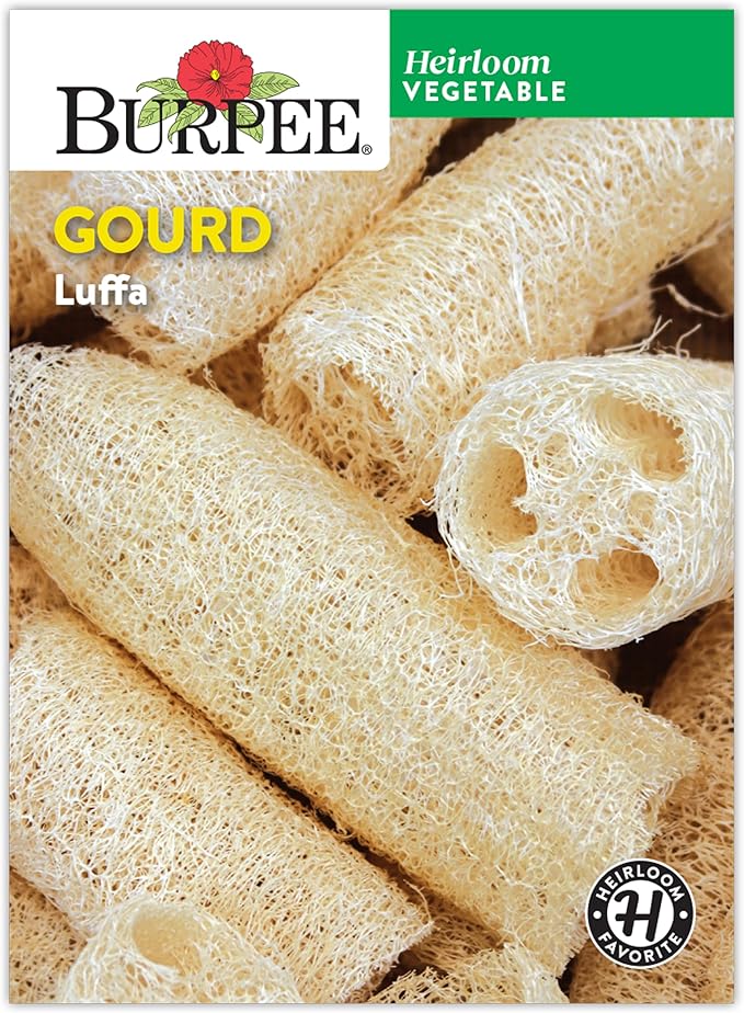 Burpee Luffa Gourd Seeds - Natural Sponge and Edible Vegetable