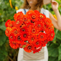 Eden Brothers Zinnia Seeds - Orange King, Non-GMO Seeds for Planting, 1 oz | Low-Maintenance Flower Seeds, Plant During Spring, Zones 3, 4, 5, 6, 7, 8, 9, 10