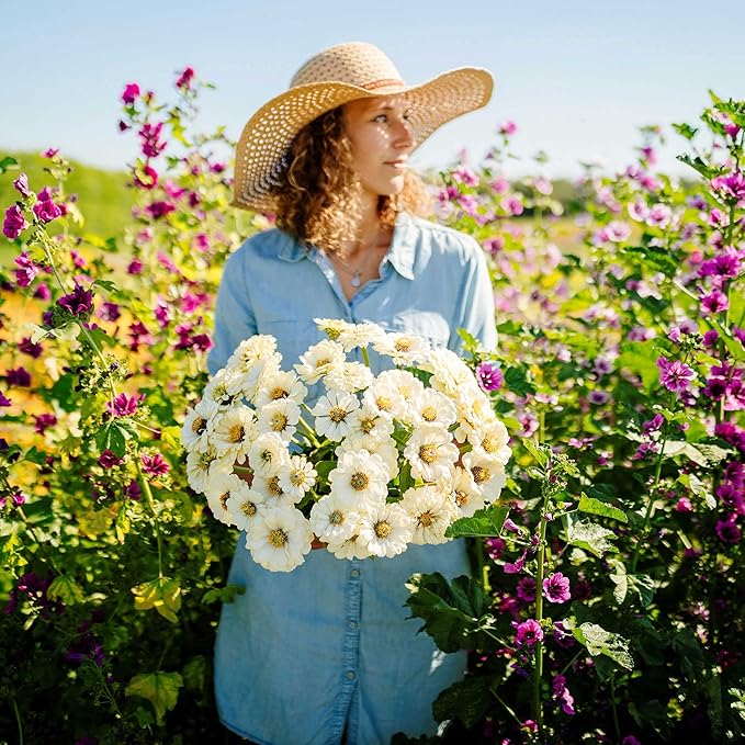 Eden Brothers Zinnia Seeds - Polar Bear, Non-GMO Seeds for Planting, 1/4 lb | Low-Maintenance Flower Seeds, Plant During Spring, Zones 3, 4, 5, 6, 7, 8, 9, 10