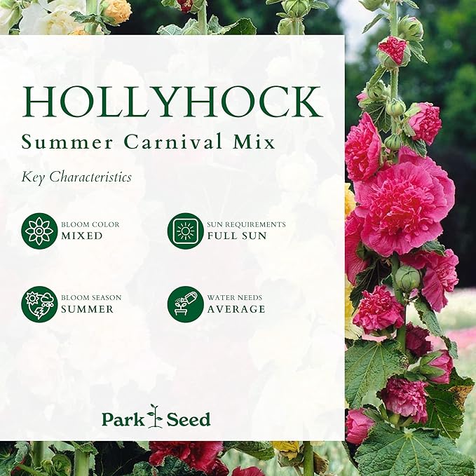 Park Seed Summer Carnival Hollyhock Flower Seeds – Vibrant Double Blooms, Tall Garden Borders, Long-Blooming Annual, AAS Award-Winning Variety, Easy to Grow in Full Sun – Pack of 50