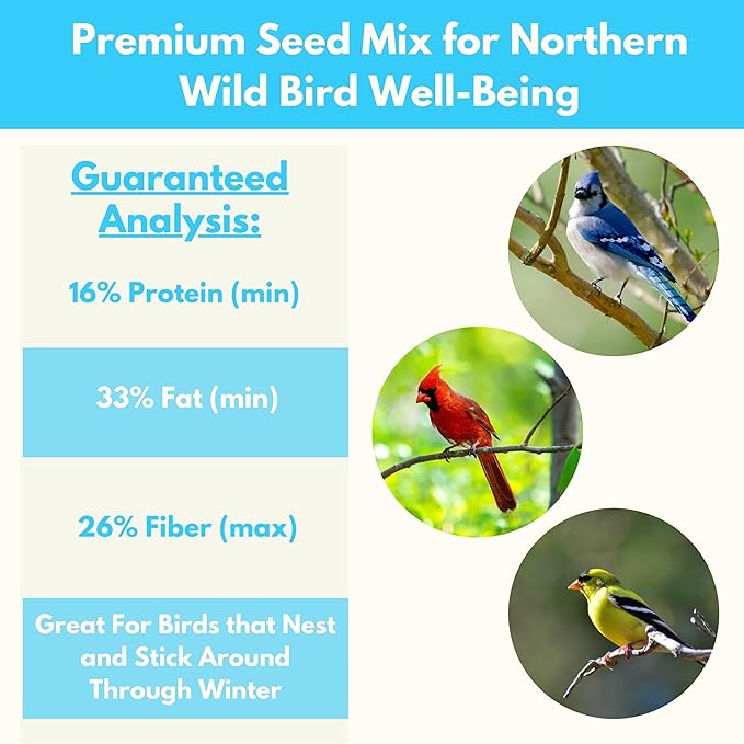 Wild Bird Seed by Freebird – Premium Black Oil Sunflower, Sunflower Kernels & Safflower Blend for Songbirds & Finches, Outdoor Feeders, 6 lb Bag