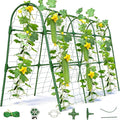 Garden Arch Trellis for Climbing Plants, PVC Support Frame with Netting, Outdoor Growing Structure for Vegetables, Vines, Flowers, Raised Bed Compatible (Green, 48 * 33 * 48inch (L*W*H))