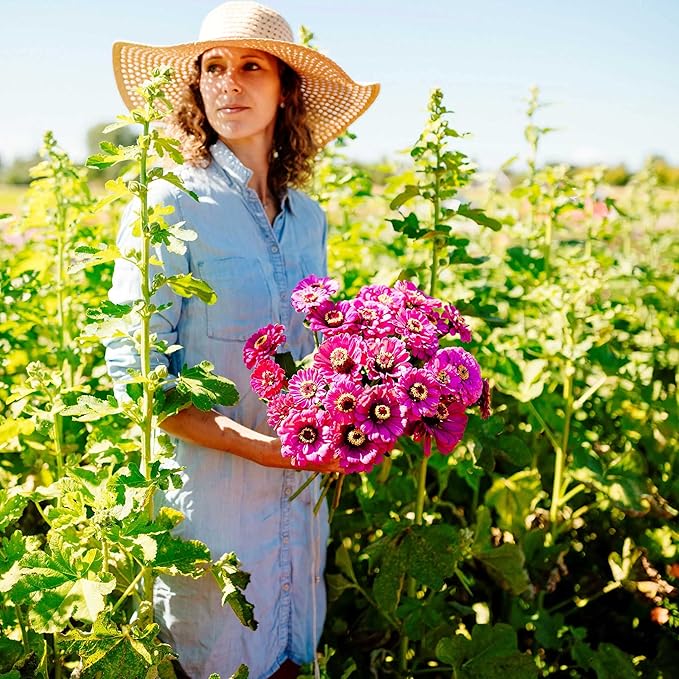 Eden Brothers Zinnia Seeds - Violet Queen, Non-GMO Seeds for Planting, 1 oz | Low-Maintenance Flower Seeds, Plant During Spring, Zones 3, 4, 5, 6, 7, 8, 9, 10
