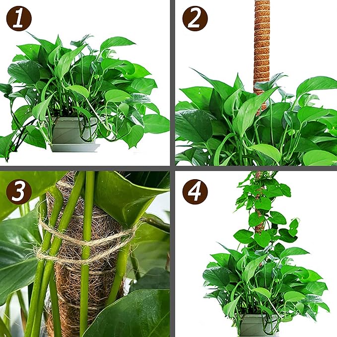 2 Pack 25" Moss Pole, Bendable Moss Pole for Plants Monstera, Moss Poles for Climbing Plants Indoor, Handmade Coco Coir Plant Pole Sticks Support Stakes for Potted Plants