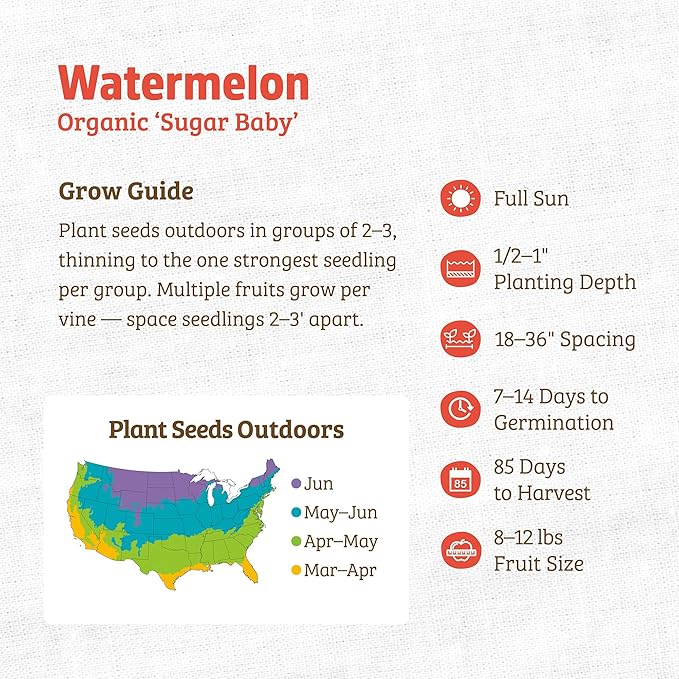 Back to The Roots 100% Organic Seed Packet - Watermelon 'Sugar Baby' 1.7g