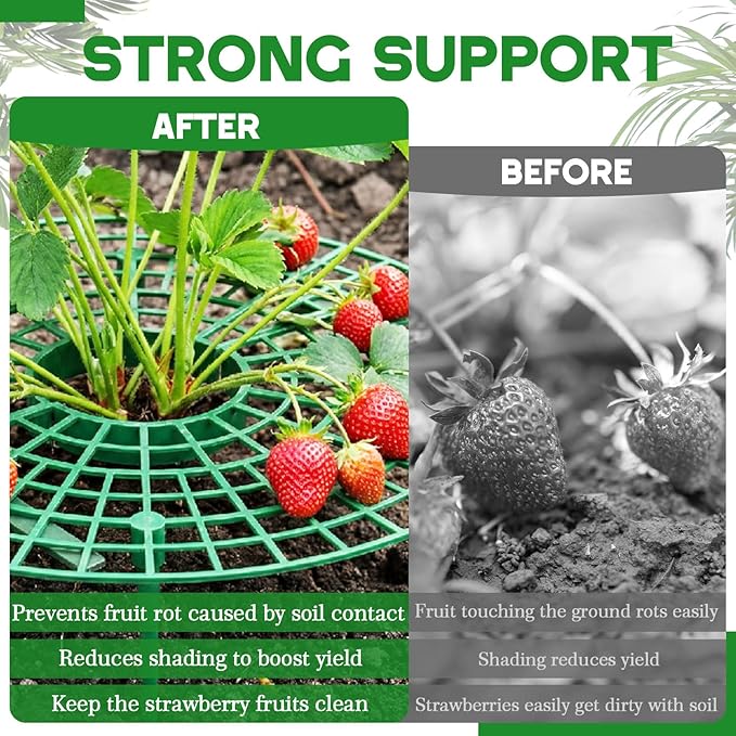 12 Sets Round Strawberry Plant Support with Mesh Plant Cover, Strawberry Growing Kit with Iron Nails for Garden Vegetables Keep Berries Clean