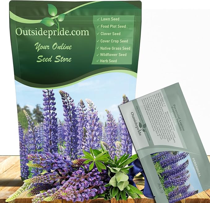 Outsidepride Wild Blue Perennial Lupine Seeds - 1/4 Lb. Self-Sowing, Cold Hardy & Frost Tolerant Wildflower Seeds for Fall Planting, Ideal for Attracting Pollinators & Hummingbirds