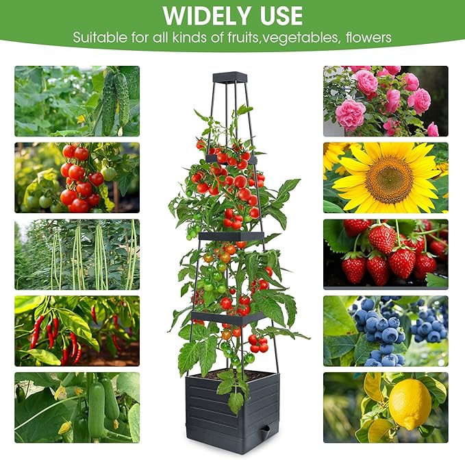 MYMULIKE Self-Watering Garden Bed, Raised Garden Bed Planter Box Outdoor, 58” Tomato Cage Planter for Vegetables, Flowers, Herbs, and Fruit, Outdoor Indoor,5 Gallon Capacity