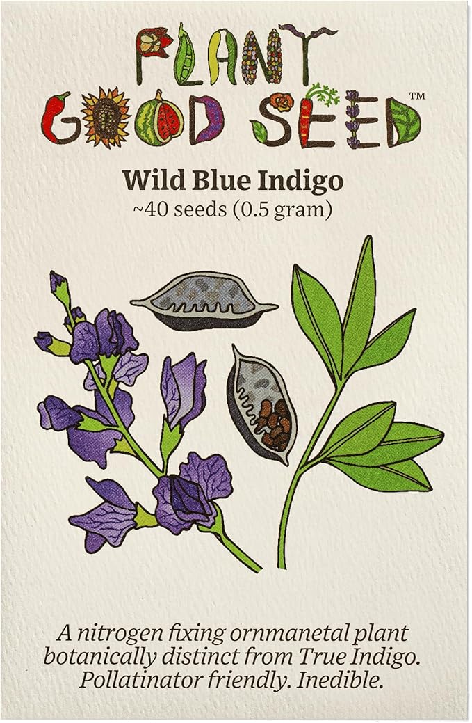 Plant Good Seed Wild Blue Indigo Seeds for Planting: Perennial Shrub, Rattling Seed Pods - 40 Seed Packet