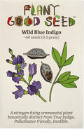 Plant Good Seed Wild Blue Indigo Seeds for Planting: Perennial Shrub, Rattling Seed Pods - 40 Seed Packet