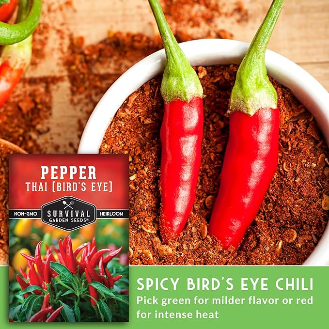 Thai Chili Pepper Seeds for Planting | Heirloom Bird’s Eye Hot Variety – Non-GMO Seeds for Spicy Cooking & Containers – Survival Garden Seeds (1 Pack)