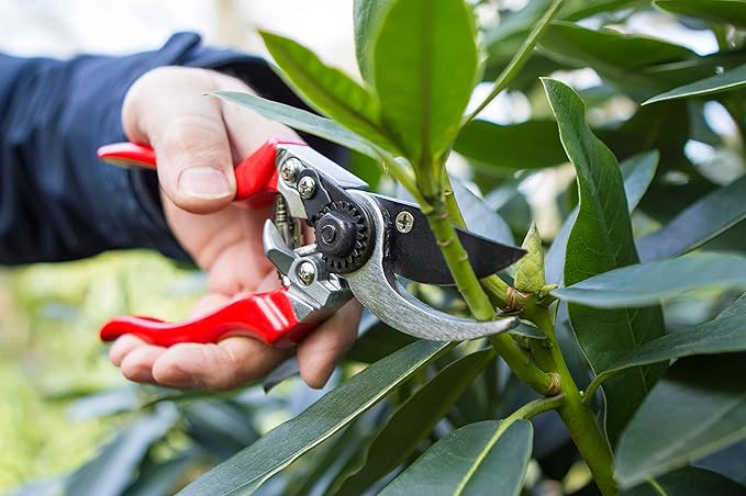 Darlac DP631 Professional Left Hand Pruner