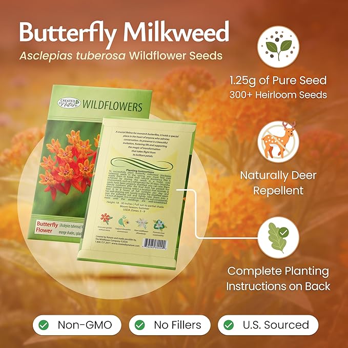 Created By Nature, Butterfly Milkweed Seeds, Orange Wildflowers for Butterfly Garden, Perennial Wildflower for Monarch Butterfly, 300 Perennial Garden Seeds, (Asclepias tuberosa)