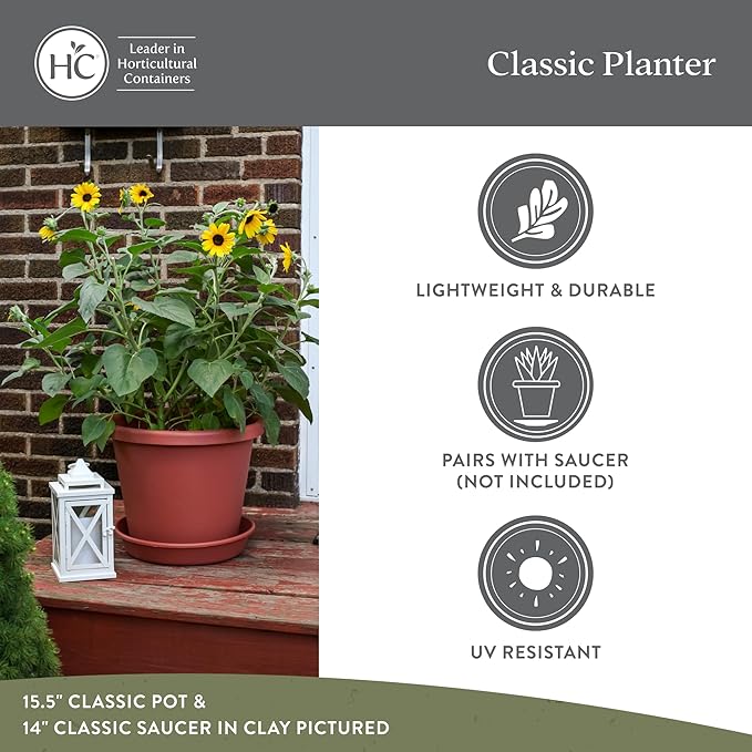 The HC Companies 11.5 Inch Classic Round Planter Pots with Drainage, Rolled Rim Plastic Planters for Indoor & Outdoor Plants, 2-Pack Decorative Flower Pots for Garden, Office & Home Decor, Black