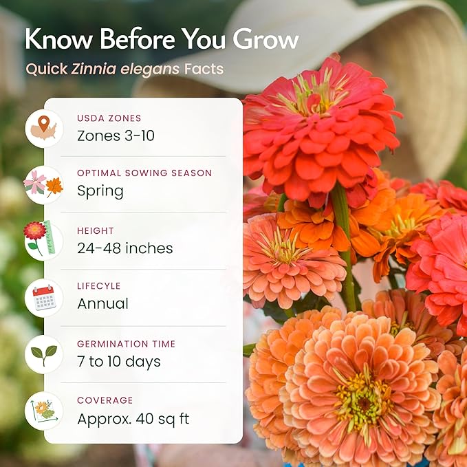 Created By Nature California Giant Zinnia Wildflower Seeds, Multi-Colored Flower Varieties, 2,200+ Non-GMO Seeds