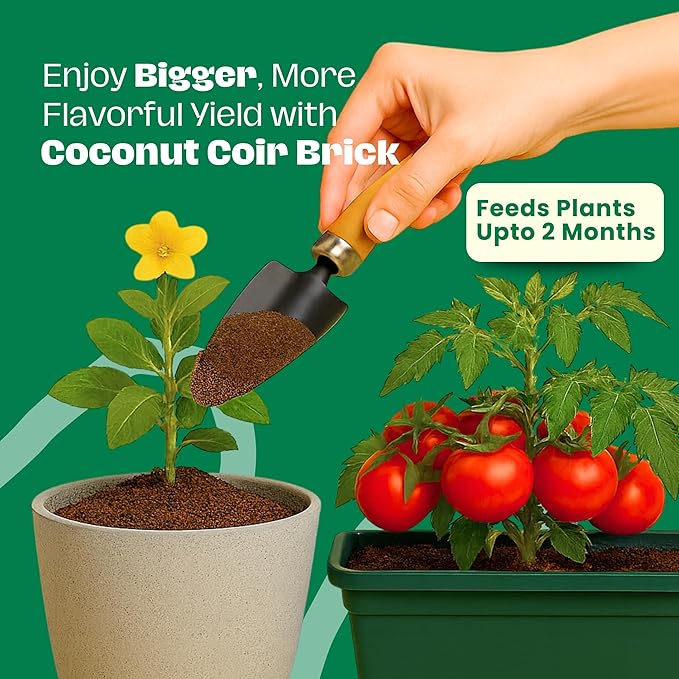 Gro-Med Coco Coir Brick 2s Pack – 1.4 lb Each,Expands to 20 Quarts, Enriched with NPK, Organic Potting Soil Mix for Plants, Seed Starting,Herbs,Flowers and Ideal Reptile Bedding for Snakes & Terrarium