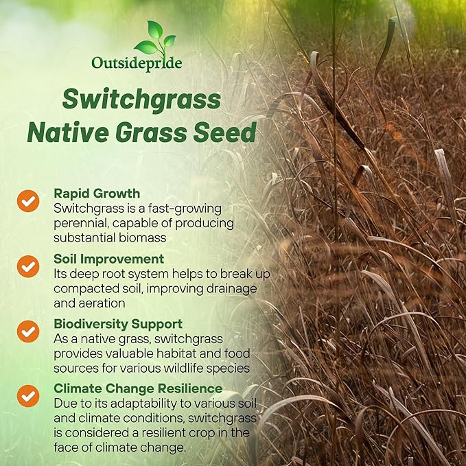 Outsidepride Switchgrass Seed - 10 lbs. Perennial Hardy, Drought & Flood Tolerant Native Grass Seed Ideal Fast-Growing Grasses for Erosion Control, Wildlife Forage & Food Plots, Thrives in Poor Soil