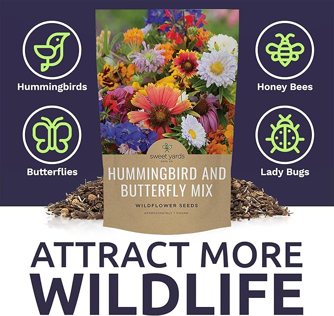 Bulk Wildflower Seeds Butterfly and Hummingbird Mix - 1 Pound Bag - Over 120,000 Open Pollinated Annual and Perennial Seeds