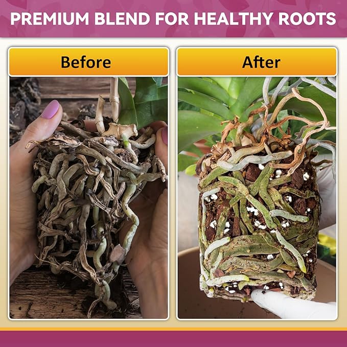 Riare 1QT Orchid Potting Mix, Natural Orchid Bark Potting Mix Soil Medium with Pine Bark and Perlite, Premium Orchid Repotting Kit for Phalaenopsis Dendrobiums, Enhanced Drainage & Root Expansion