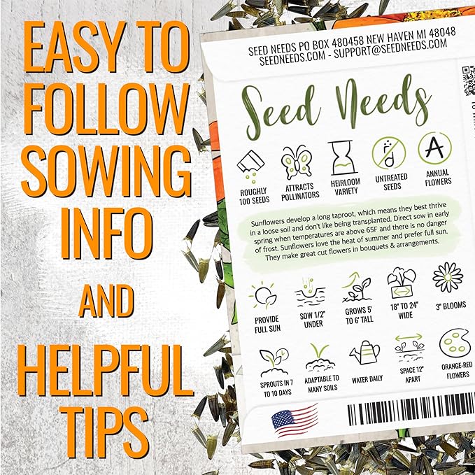 Seed Needs Mexican Sunflower Seeds for Planting Tithonia rotundifolia Flowers - Heirloom & Open Pollinated Annual Flower Seed to Plant an Outdoor Butterfly Garden (1 Pack)
