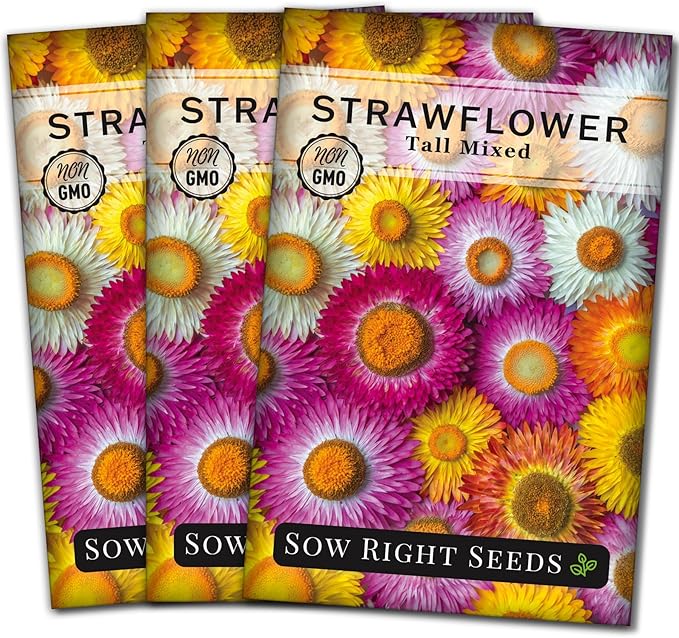 Sow Right Seeds - Tall Mixed Strawflower Seeds - Non-GMO Heirloom Packet with Instructions to Grow - Beautiful to Plant in Your Flower Garden - Cut Flower Favorite - Wonderful Gardening Gift (3)