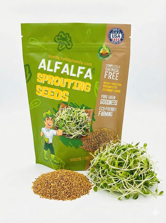 Todd’s Seeds - Alfalfa Sprouting Seeds - Easy to Grow Bulk Alfalfa - Fast Growing with High Sprout Germination (1/2 Pound)