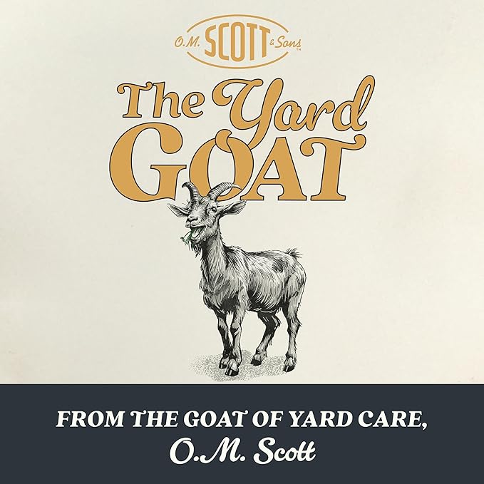 O.M. Scott and Sons Sheep Fescue Seed, Naturally Drought Tolerant Grass, Covers up to 300 sq. ft., 0.9 lb.