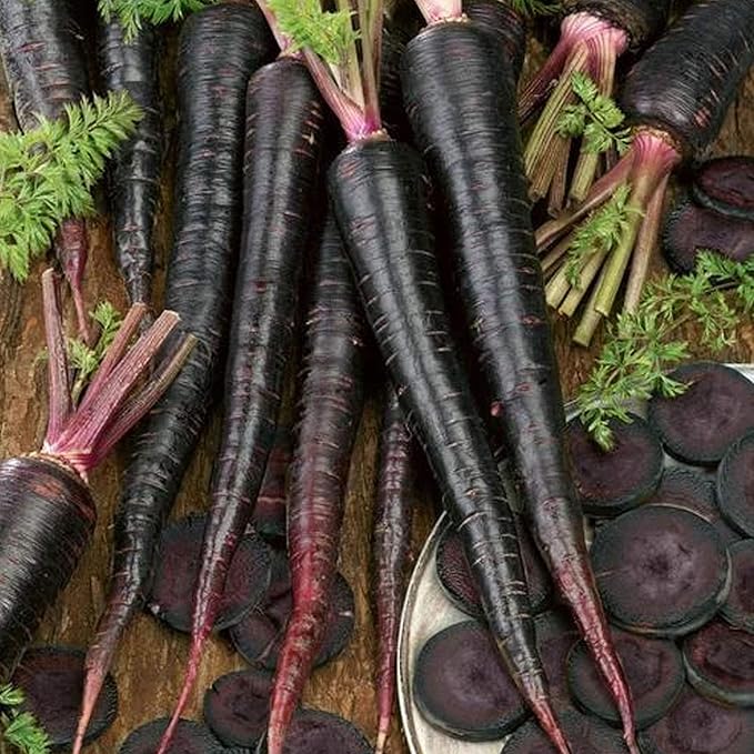 Black Nebula Carrot Seed 1/4 LB ~80,000 Seeds - Non-GMO Vegetable Gardening Seeds - Open Pollinated