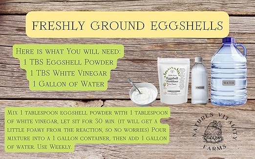 Natures Vitality Farms Eggshell Fertilizer Powder, 1 Pound, for Tomato Plants, Orchids, Calcium Magnesium Phosphorus Powder for Indoor and Outdoor Flowers and Plants