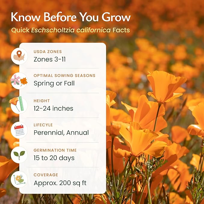 Created by Nature California Poppy Flower Seeds, 20,000 Native Wildflower Seeds, California State Flower