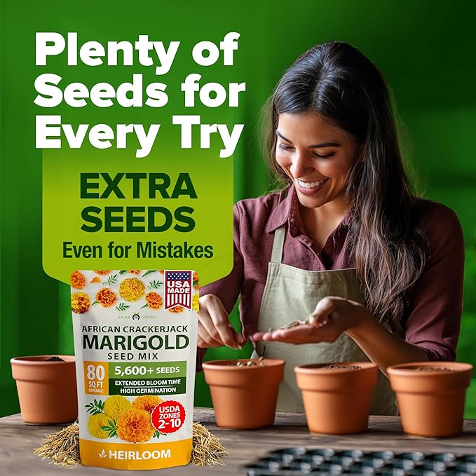 HOME GROWN Marigold Seeds Bulk Mix - 5600+ Crackerjack Marigold Flower Seeds for Planting Outdoors -Flowers Seed for Companion Planting -Wildflower African Marigold(Tagetes erecta)