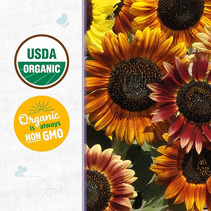 Back to The Roots 100% Organic Seed Packet - Sunflower 'Autumn Beauty' 700mg
