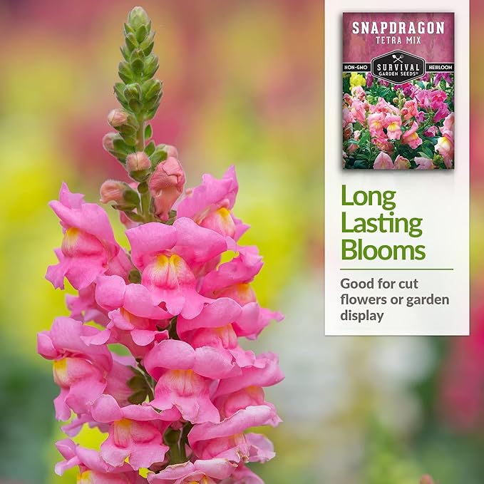 Survival Garden Seeds - Snapdragon Tetra Mix Seed for Planting - 3 Packs with Instructions to Plant and Grow Beautiful Colorful Flowers in Your Home Vegetable Garden - Non-GMO Heirloom Variety